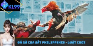 Đá gà cựa sắt Philippines